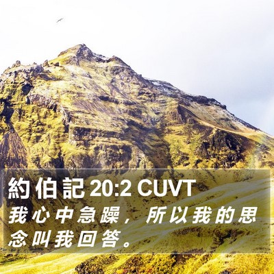 約 伯 記 20:2 CUVT Bible Verse Image