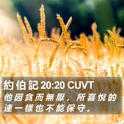 約 伯 記 20:20 CUVT Bible Verse Image