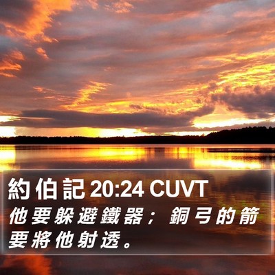 約 伯 記 20:24 CUVT Bible Verse Image