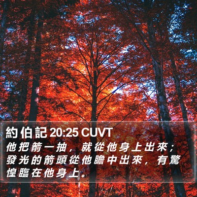 約 伯 記 20:25 CUVT Bible Verse Image