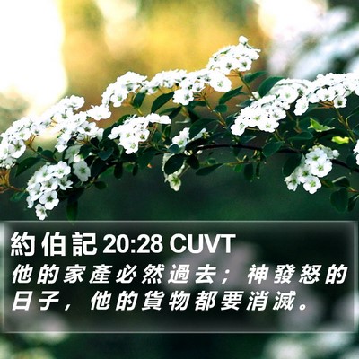 約 伯 記 20:28 CUVT Bible Verse Image