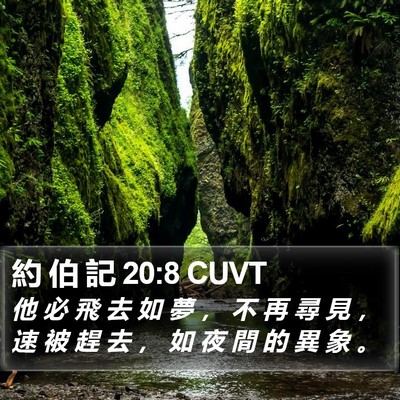 約 伯 記 20:8 CUVT Bible Verse Image