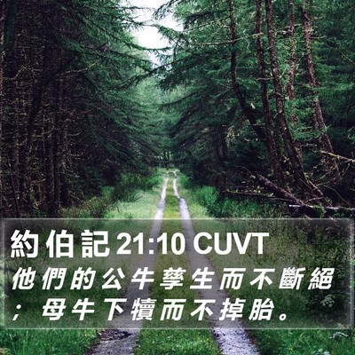 約 伯 記 21:10 CUVT Bible Verse Image