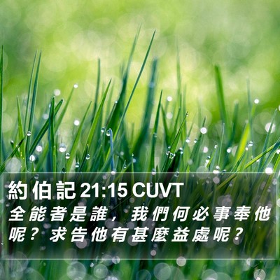 約 伯 記 21:15 CUVT Bible Verse Image