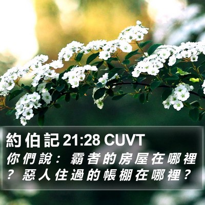 約 伯 記 21:28 CUVT Bible Verse Image