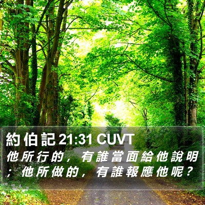 約 伯 記 21:31 CUVT Bible Verse Image