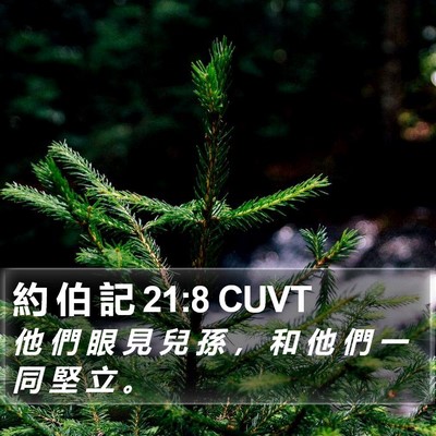 約 伯 記 21:8 CUVT Bible Verse Image