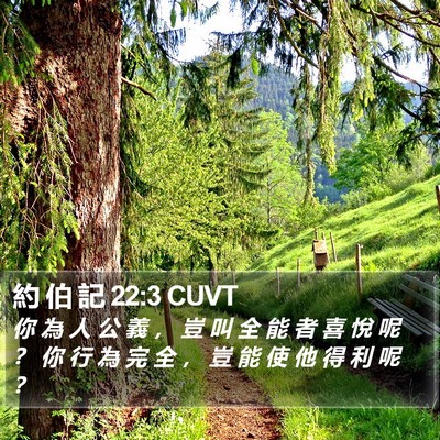 約 伯 記 22:3 CUVT Bible Verse Image