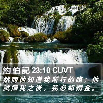 約 伯 記 23:10 CUVT Bible Verse Image