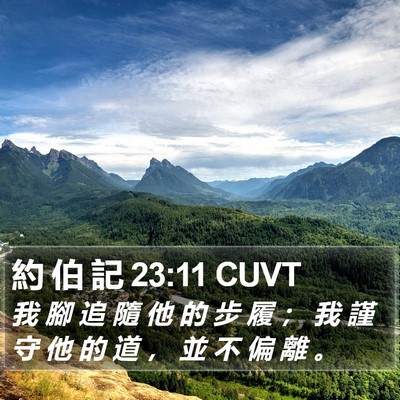 約 伯 記 23:11 CUVT Bible Verse Image