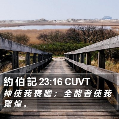 約 伯 記 23:16 CUVT Bible Verse Image