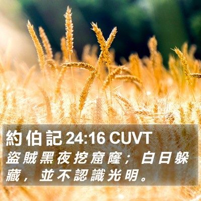 約 伯 記 24:16 CUVT Bible Verse Image