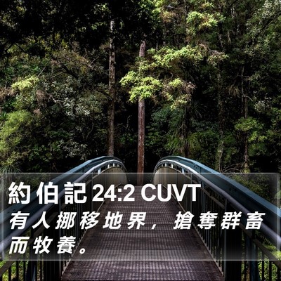 約 伯 記 24:2 CUVT Bible Verse Image