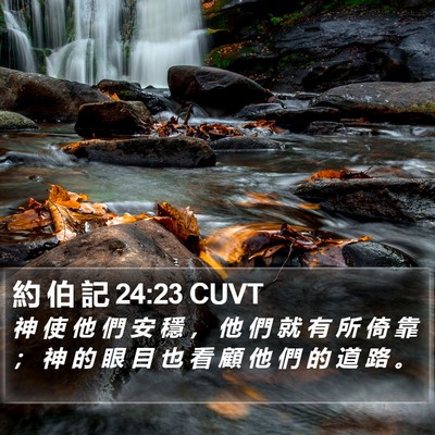 約 伯 記 24:23 CUVT Bible Verse Image