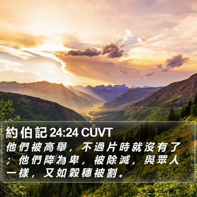 約 伯 記 24:24 CUVT Bible Verse Image