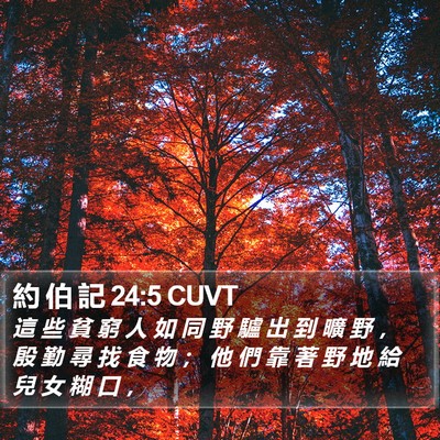 約 伯 記 24:5 CUVT Bible Verse Image