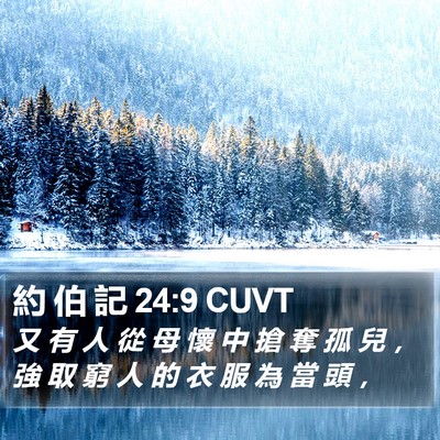 約 伯 記 24:9 CUVT Bible Verse Image
