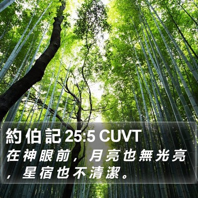 約 伯 記 25:5 CUVT Bible Verse Image