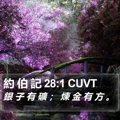 約 伯 記 28:1 CUVT Bible Verse Image