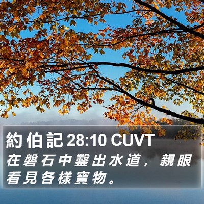 約 伯 記 28:10 CUVT Bible Verse Image