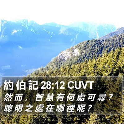 約 伯 記 28:12 CUVT Bible Verse Image