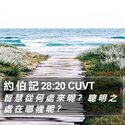 約 伯 記 28:20 CUVT Bible Verse Image
