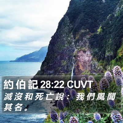 約 伯 記 28:22 CUVT Bible Verse Image