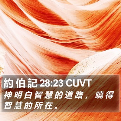 約 伯 記 28:23 CUVT Bible Verse Image
