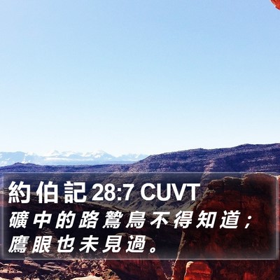 約 伯 記 28:7 CUVT Bible Verse Image