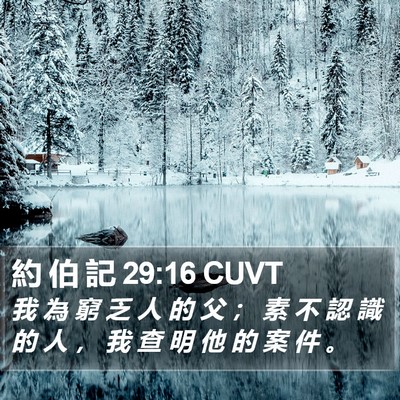 約 伯 記 29:16 CUVT Bible Verse Image