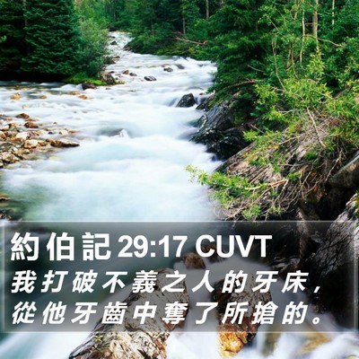 約 伯 記 29:17 CUVT Bible Verse Image