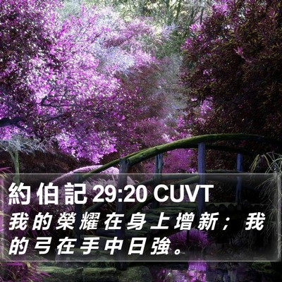 約 伯 記 29:20 CUVT Bible Verse Image