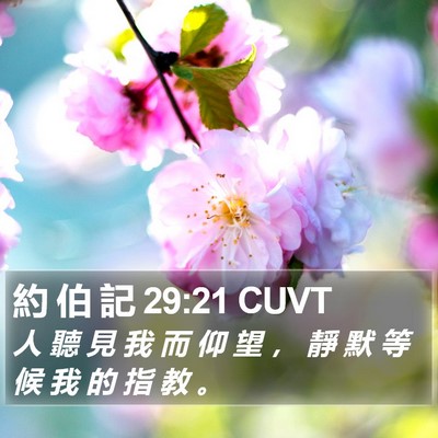 約 伯 記 29:21 CUVT Bible Verse Image