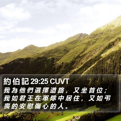 約 伯 記 29:25 CUVT Bible Verse Image
