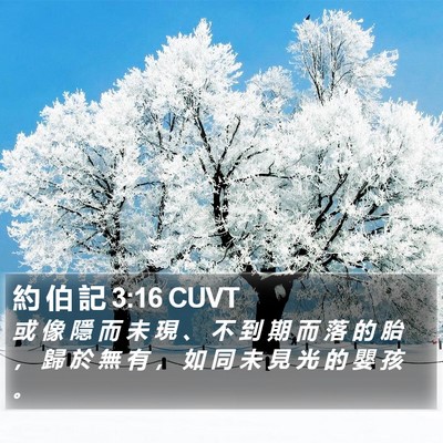 約 伯 記 3:16 CUVT Bible Verse Image