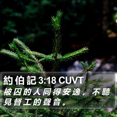 約 伯 記 3:18 CUVT Bible Verse Image