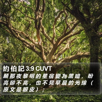 約 伯 記 3:9 CUVT Bible Verse Image