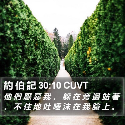 約 伯 記 30:10 CUVT Bible Verse Image