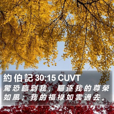 約 伯 記 30:15 CUVT Bible Verse Image