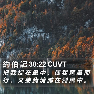 約 伯 記 30:22 CUVT Bible Verse Image