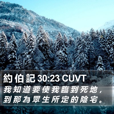 約 伯 記 30:23 CUVT Bible Verse Image