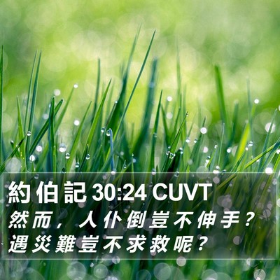 約 伯 記 30:24 CUVT Bible Verse Image