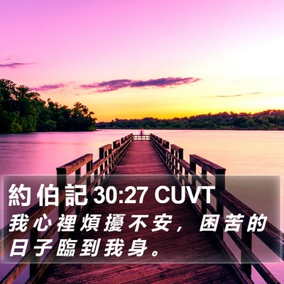 約 伯 記 30:27 CUVT Bible Verse Image
