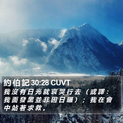 約 伯 記 30:28 CUVT Bible Verse Image