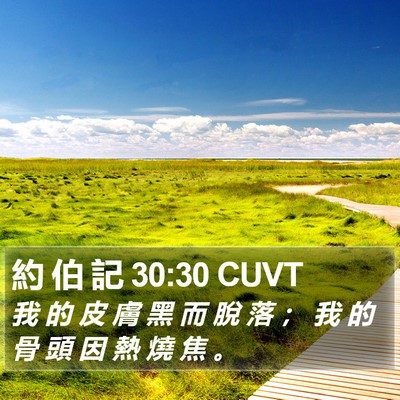 約 伯 記 30:30 CUVT Bible Verse Image