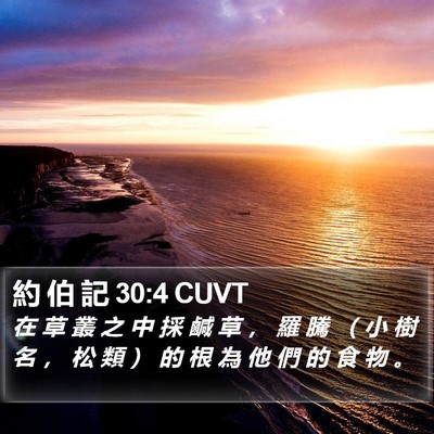 約 伯 記 30:4 CUVT Bible Verse Image