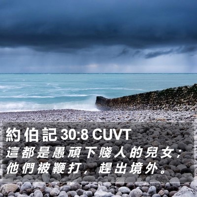 約 伯 記 30:8 CUVT Bible Verse Image
