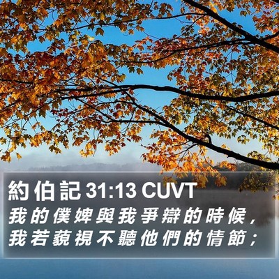 約 伯 記 31:13 CUVT Bible Verse Image