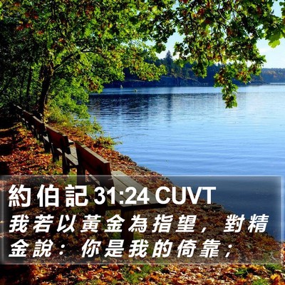 約 伯 記 31:24 CUVT Bible Verse Image