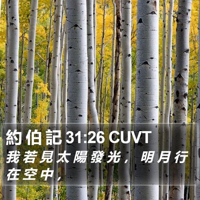 約 伯 記 31:26 CUVT Bible Verse Image